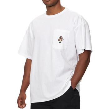 Converse T-shirt  -