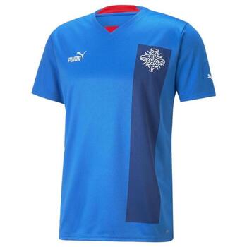 Puma T-shirt  -