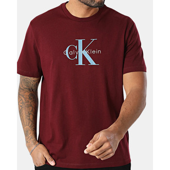 Calvin Klein Jeans T-shirt Korte Mouw  LV04RB862G