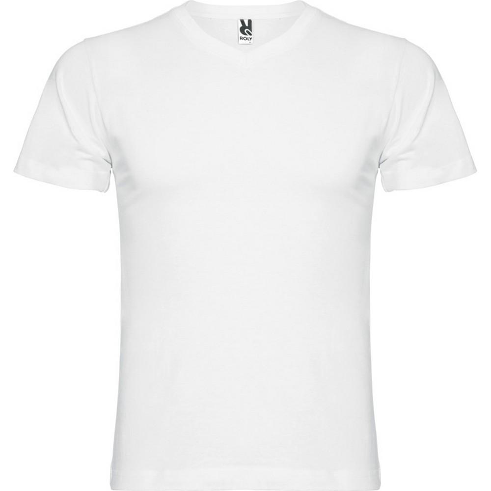 Pertemba FR - Apparel Roly Heren Samoyedo T-shirt met V-hals 3XL