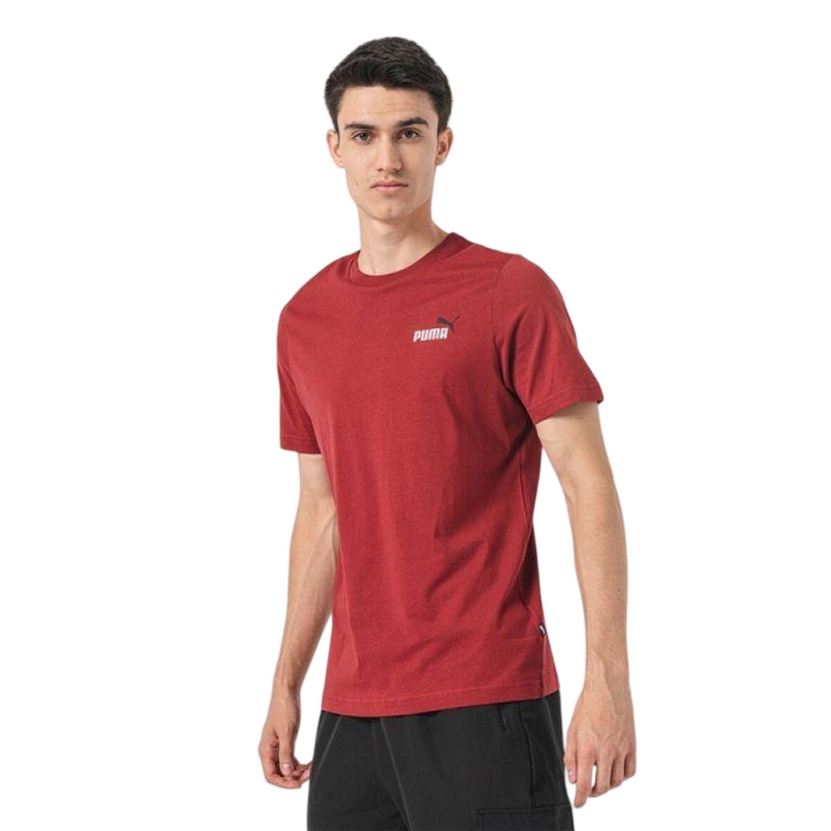 Puma Heren ess+ t-shirt