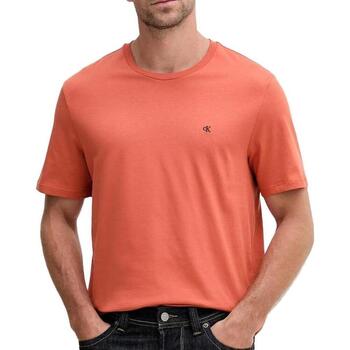 Calvin Klein Jeans T-shirt Korte Mouw  -