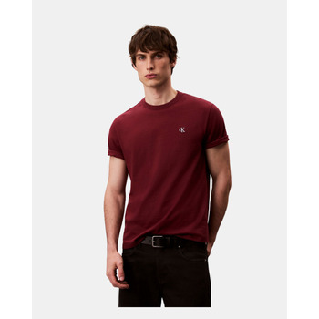 Calvin Klein Jeans T-shirt Korte Mouw  LV04RC275G