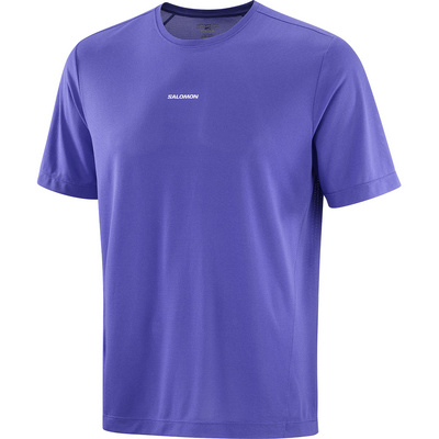 Salomon Heren SHKout Core T-shirt