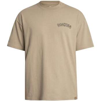 Dickies T-shirt Korte Mouw  Decartuville T-shirt met grafische print op de rug