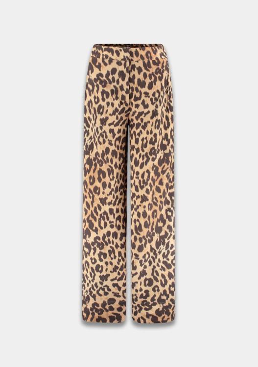 Harper&Yve Broek AW25P104
