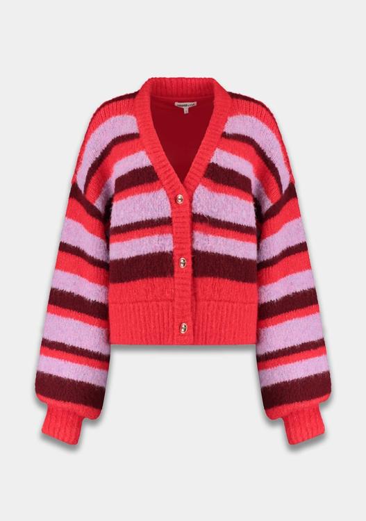 Harper&Yve Vest AW25W800