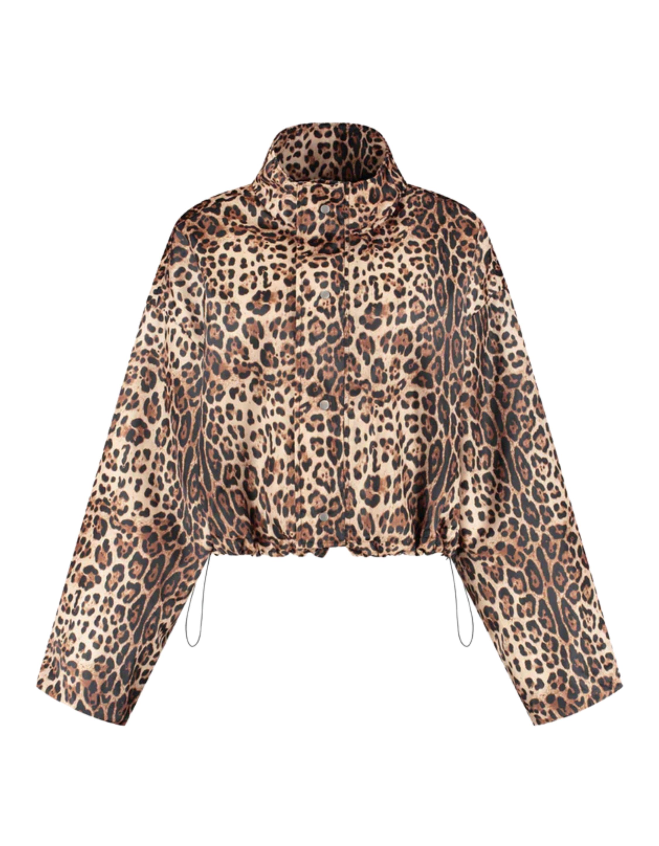 Studio Amaya 253-56 jackets feline