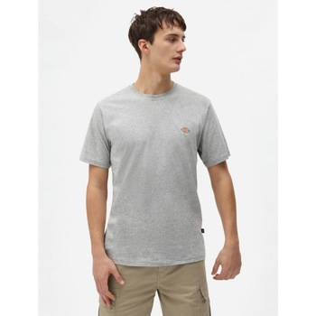Dickies T-shirt Korte Mouw  SS MAPLETON