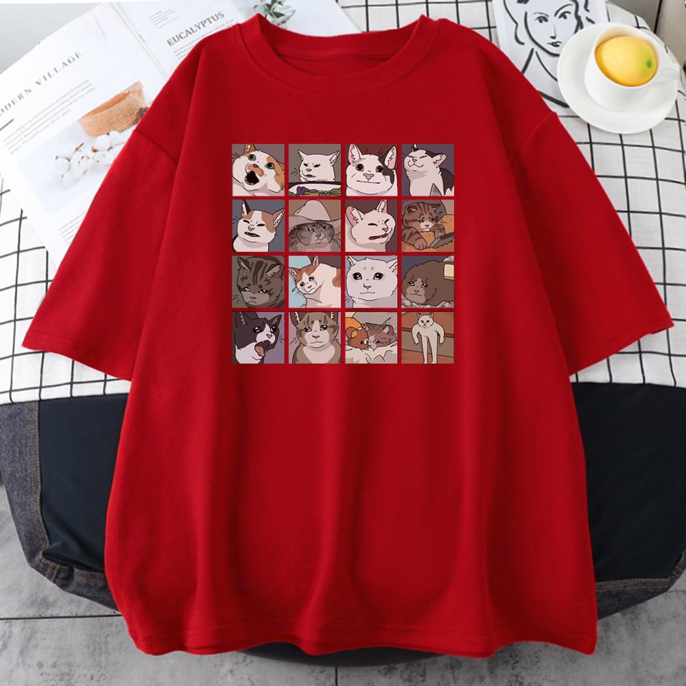 Enter Boutique Sports Clothing Collection Meme Katten Puzzel Creativiteit Bedrukte Heren T-shirts Strand Ademend Grappige Kleding Oversize Casual Katoenen Tops Mannen Korte Mouw XS