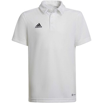 Adidas T-shirt  -
