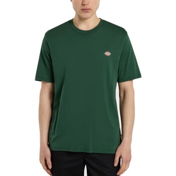 Dickies T-shirt Korte Mouw  MAPLETON SS TEE