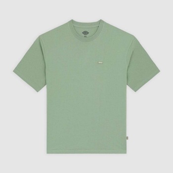 Dickies T-shirt Korte Mouw  CLANCY HEAVYWEIGHT