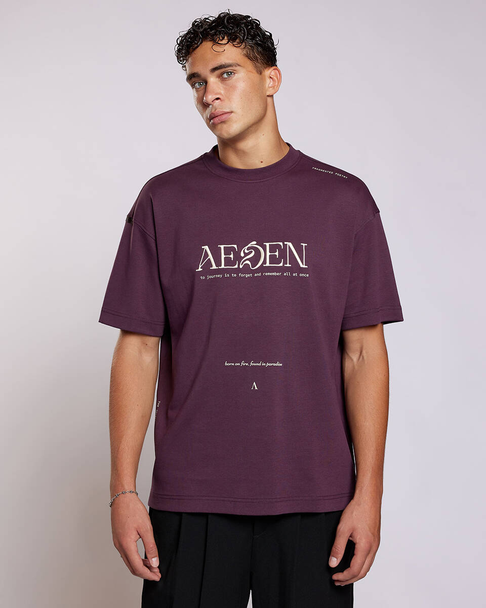Aeden T-shirt korte mouw a222430071 floren