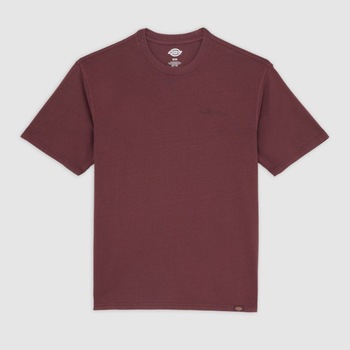 Dickies T-shirt Korte Mouw  SLAYDEN GD