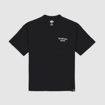 Dickies T-shirt Korte Mouw  SNEEDVILLE TE