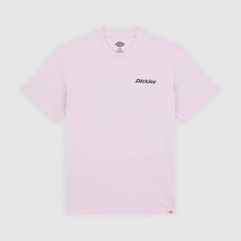 Dickies T-shirt Korte Mouw  STATESVILLE TEE