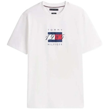 Tommy Hilfiger T-shirt Korte Mouw  LINEAR FLAG GRAPHIC TEE