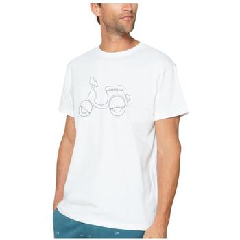 Scotta T-shirt Korte Mouw  S25010916