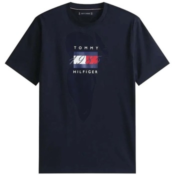 Tommy Hilfiger T-shirt Korte Mouw  LINEAR FLAG GRAPHIC TEE