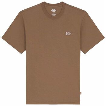 Dickies T-shirt Korte Mouw  SUMMERDALE SS - DK0A4YA-I0BD1 BROWN DUCK