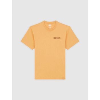 Dickies T-shirt Korte Mouw  COMPANION TEE - DK0A4Z98K411-OAK BUFF