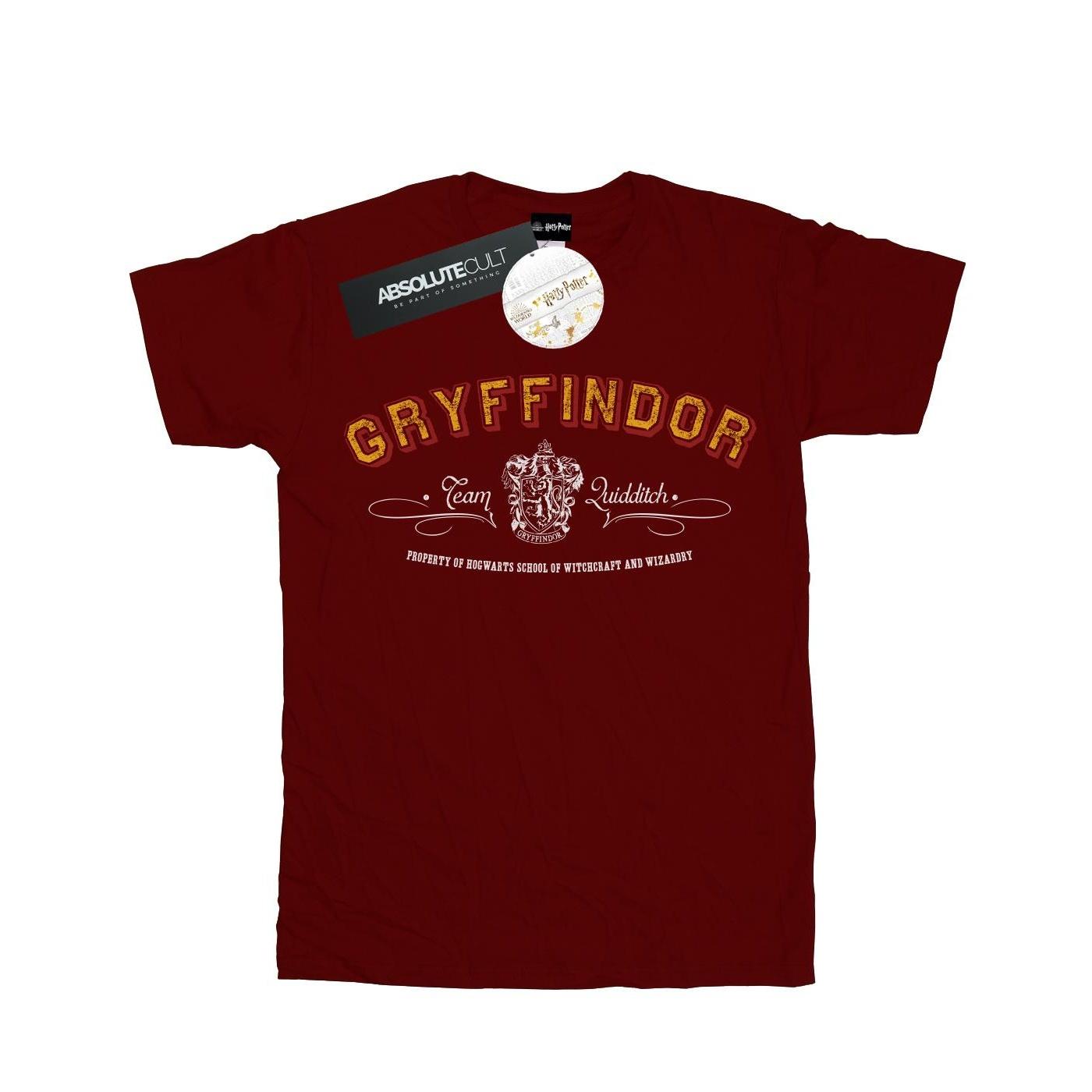Harry Potter Heren Griffoendor Team Zwerkbal T-shirt M