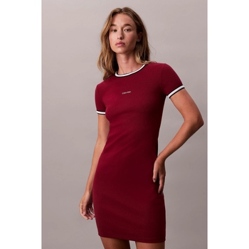 Calvin Klein Jeans Korte Jurk  SS COLOR BLOCK COTTON RI