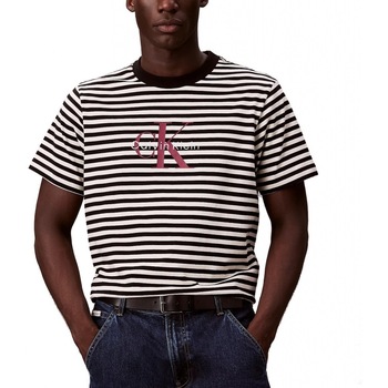 Calvin Klein Jeans T-shirt Korte Mouw  SS 20S STRIPE JERSEY MON