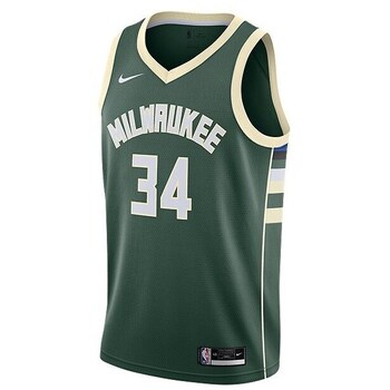 Nike T-shirt Korte Mouw  Nba Milwaukee Bucks Giannis Antetokounmpo Icon Edition