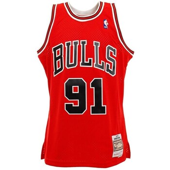 Mitchell And Ness T-shirt Korte Mouw  Nba Swingman Jerseys Chicago Bulls Dennis Rodman 91
