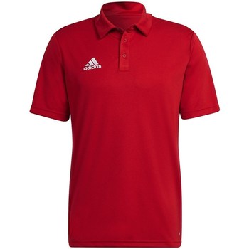 Adidas T-shirt Korte Mouw  Entrada 22