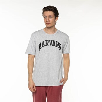 Champion T-shirt Korte Mouw  Harvard
