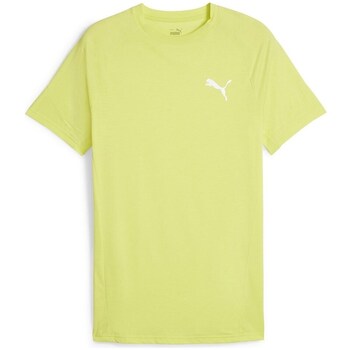 Puma T-shirt Korte Mouw  Evostripe Tee