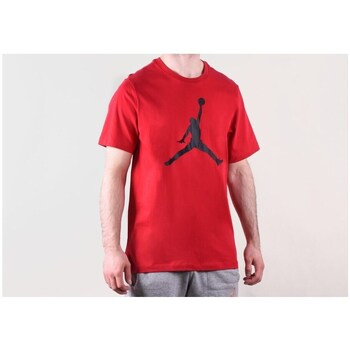 Nike T-shirt Korte Mouw  Air Jordan Iconic