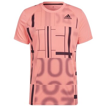 Adidas T-shirt Korte Mouw  Graphic Tee