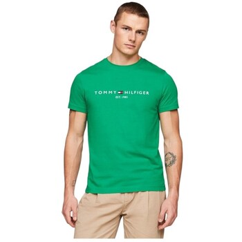 Tommy Hilfiger T-shirt Korte Mouw  MW0MW11797L4B