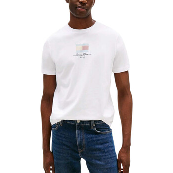 Tommy Hilfiger T-shirt Korte Mouw  ITHACA FLAG TEE MW0MW39349