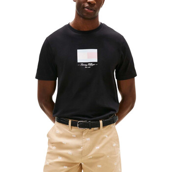 Tommy Hilfiger T-shirt Korte Mouw  ITHACA FLAG TEE MW0MW39349