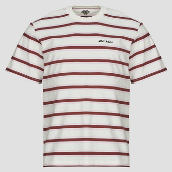 Dickies T-shirt Korte Mouw  YORK STRIPE TEE SS EGRET