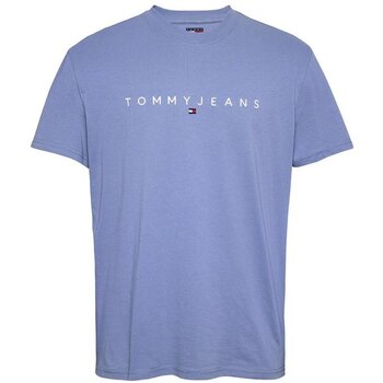 Tommy Jeans T-shirt Korte Mouw  DM0DM20744