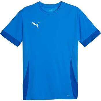 Puma T-shirt Korte Mouw  Teamgoal Matchday Jersey