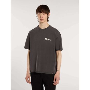 Dickies T-shirt  SLAYDEN GD TEE - DK0A87QR-K661 BLACK