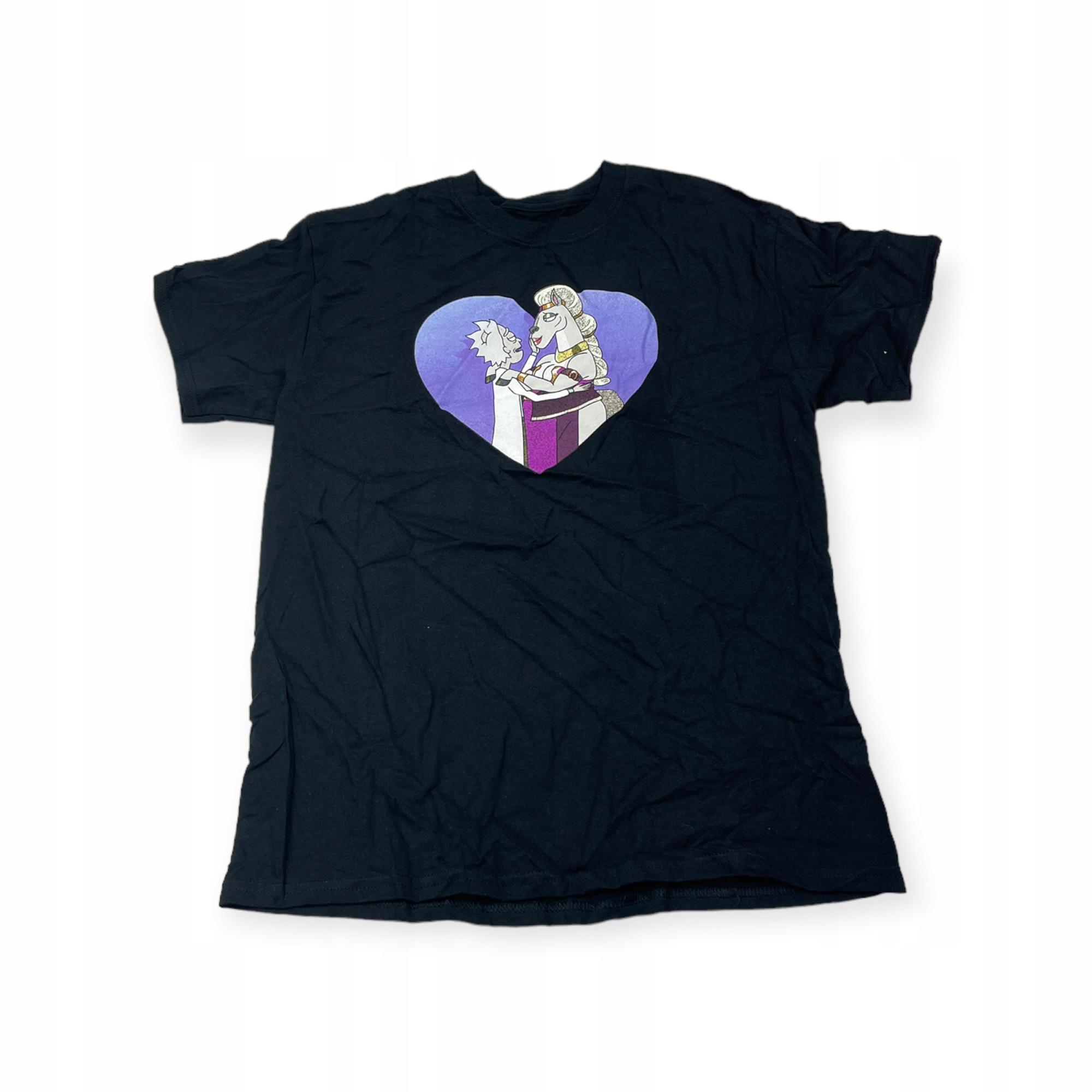 Outletup-clothes Koszulka T-shirt męska okrągły dekolt SPENCER'S RICK AND MORTY M