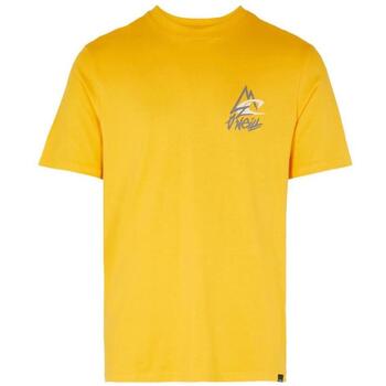 O'Neill T-shirt  -