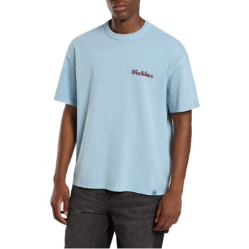 Dickies T-shirt  SLAYDEN GD