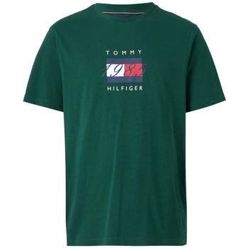 Tommy Hilfiger T-shirt  LINEAR FLAG GRAPHIC TEE