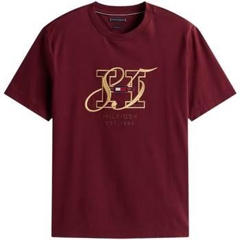 Tommy Hilfiger T-shirt Korte Mouw  DIWALI INTERLOCK HBS MW0MW39569