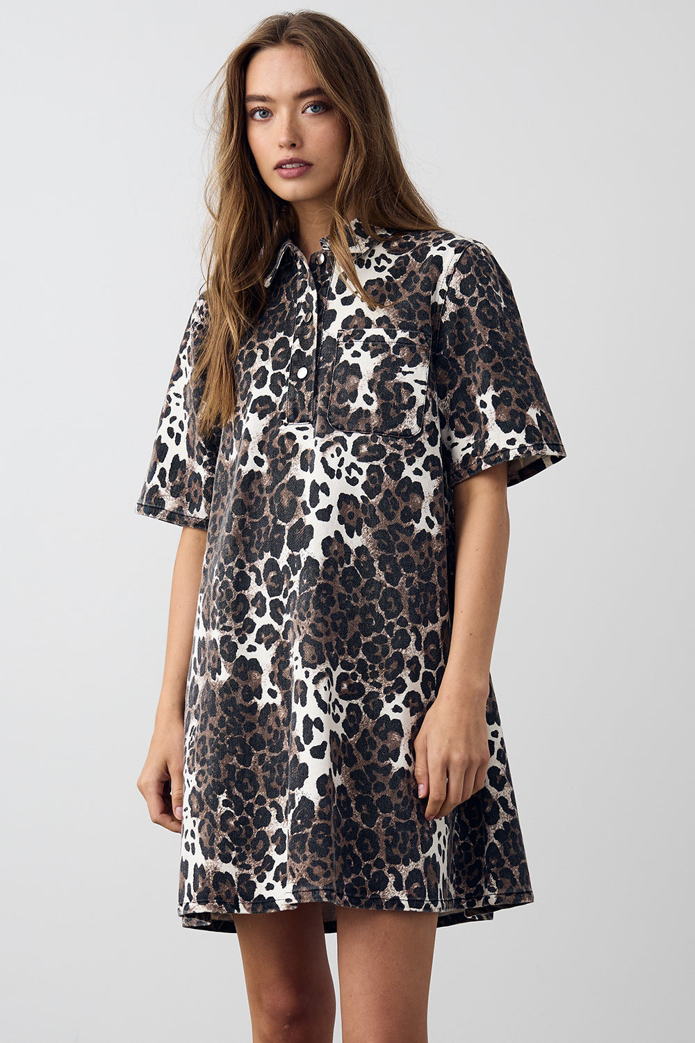 Noella Jozie Dress Taleah Print