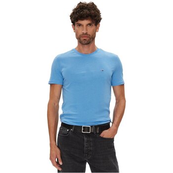 Tommy Jeans T-shirt Korte Mouw  DM0DM20363